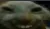 xdd xdd