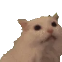 moodcatyells