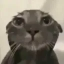 3_cato_paia Discord Emoji