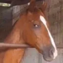 sideeye sideeye