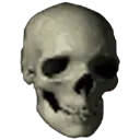 skull skull