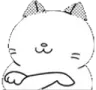BlindCat