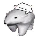 Catslap_polarbear