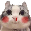 meobienthai meobienthai