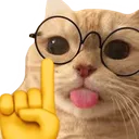 catNerd