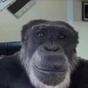 Om_Monkey_Ty_Ohuel