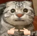 ihehehe