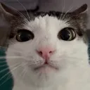 iminent_explosion iminent_explosion
