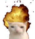 catplosion