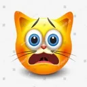 catwtf