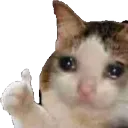 emoji_41