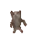gatooo