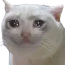 cry