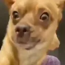 HOLYSHIT