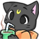 KittySip2