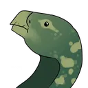 no_iggy