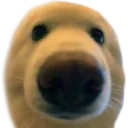 boop