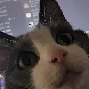 Cat Smile cat_smile Discord Emoji