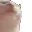 catJAM