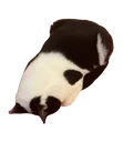 error