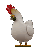 chickendance