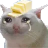 catbuttercrysad