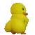 poutepoute