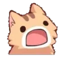 catstun catstun