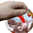 pettheko