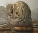skrunkly