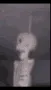 skullfly