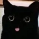 cat Discord Emoji