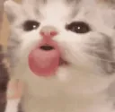 GW_lenguita