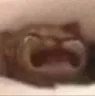 waaa