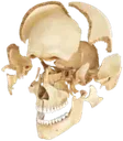 gxg_nahhhfrr gxg_nahhhfrr