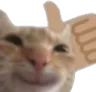 NipLikeACat Discord Emoji
