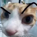emoji_65
