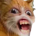 CatRicky Discord Emoji