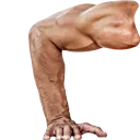 pushup1