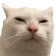 susCat