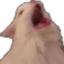 3catscrem