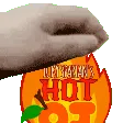 HotOJPet