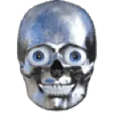 andro_skull