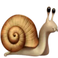 snail_1f40c