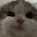 catsmirk