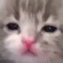 a_