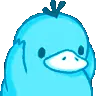 psyduckdance psyduckdance