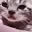 SadCat