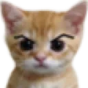 sus