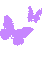 ButterFlyViolet